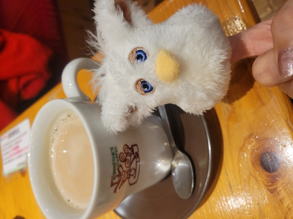 来週のシフト♡