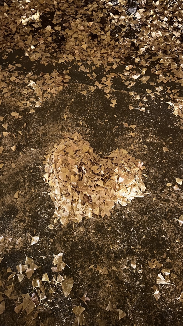 今日は代々木ルーム✨